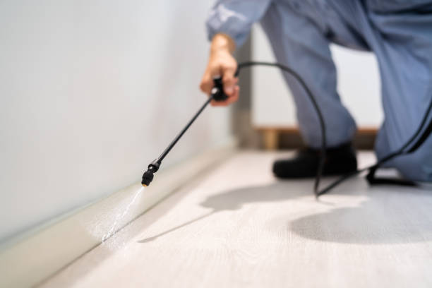 Licensed Bed Bug Control service in Fargo, ND - Nex Pest Control