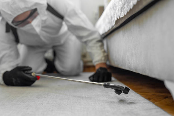 Professional Bed Bug Control technician working in Fargo, ND
